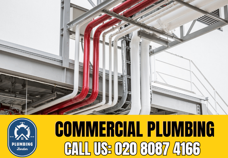 commercial plumbing Holloway