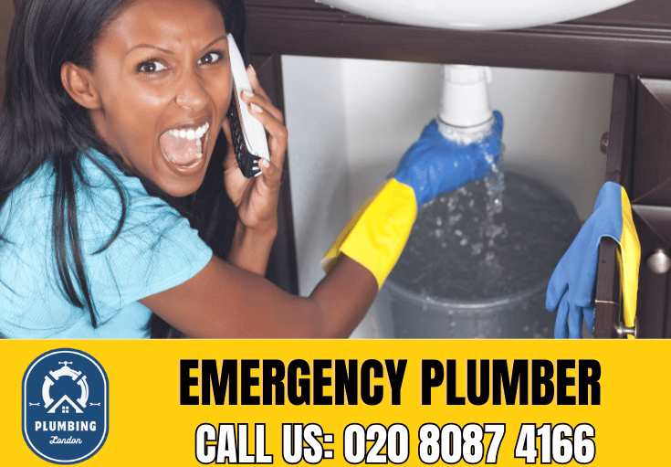 emergency plumber Holloway