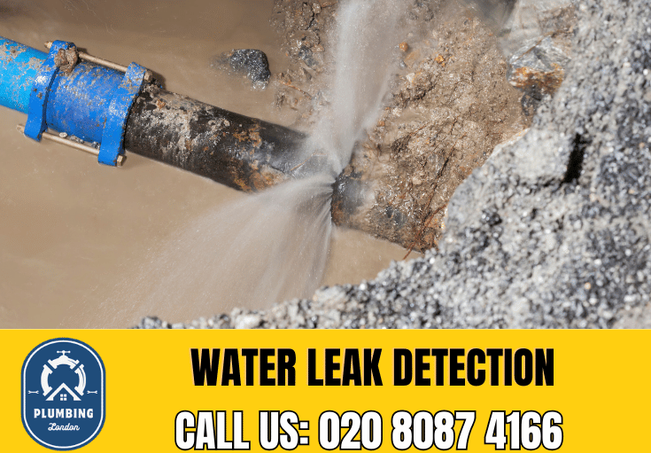 leak detection Holloway