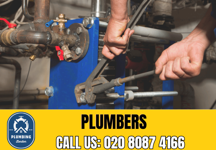  plumber Tufnell Park